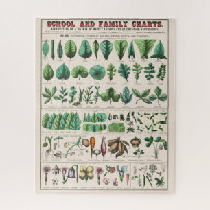 Puzzle Vintage Botanical Chart: Leaves and Flowers