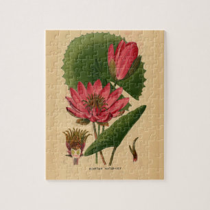 Puzzle Vintage Botanique Imprimer Eau rose Lily Lotus