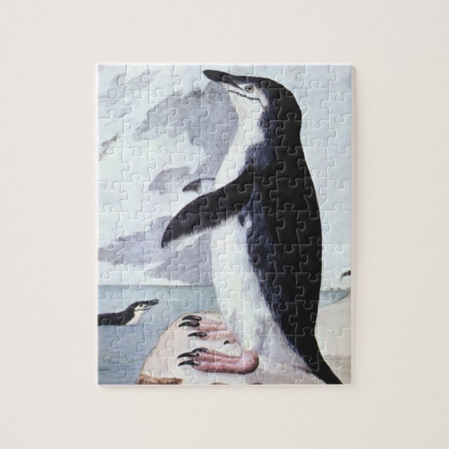 Puzzle Vintage Chinstrap Penguin, Birds from Antarctica (Vertical)