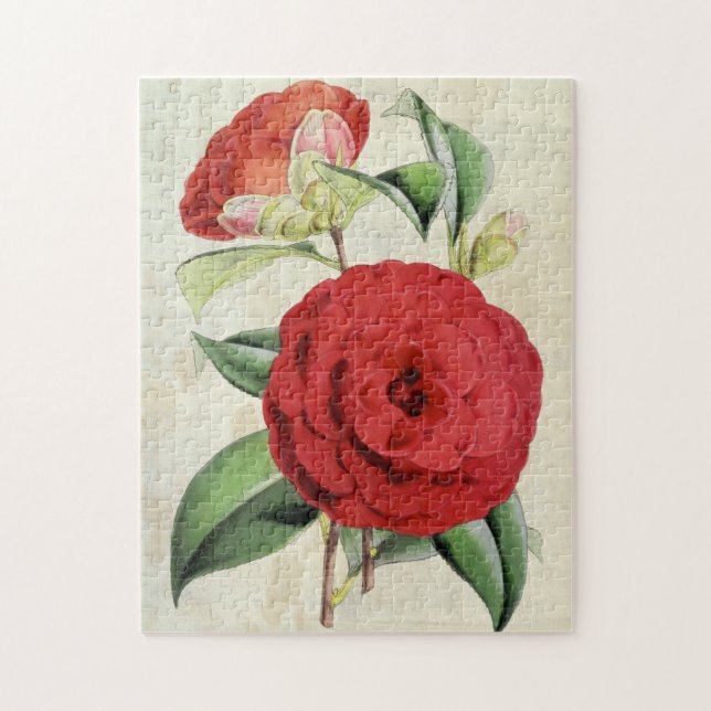 Puzzle Vintage Crimson Botanique Camellia (Vertical)