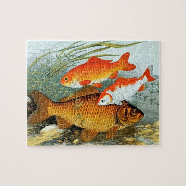 Puzzle Vintage Golden Carp Koi Goldfish (Horizontal)