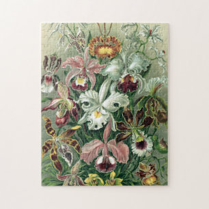Puzzle Vintage Haeckel Colorful Orchid Lithograph Poster