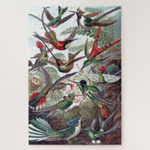 Puzzle Vintage Hummingbirds Vieux livre Illustration Art