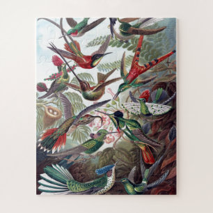 Puzzle Vintage Hummingbirds Vieux livre Illustration Art