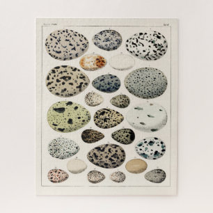 PUZZLE VINTAGE ILLUSTRATION OISEAUX OEUFS JIGSAW