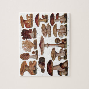 Puzzle Vintage Mushroom Family Botanique Imprimer
