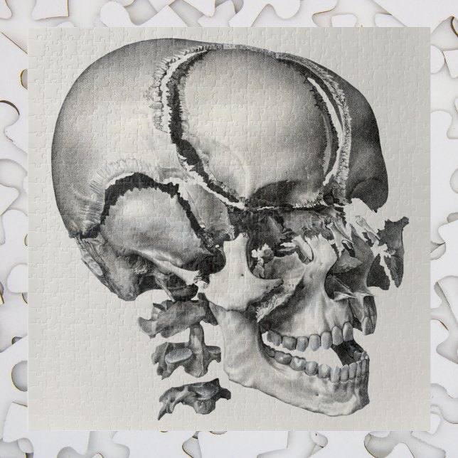 Puzzle Vintage Science Human Anatomy, Antique Skull (Créateur téléchargé)