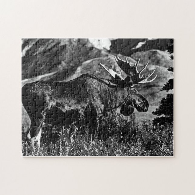 Puzzle Vintage USA Alaska bull moose 1970 (Horizontal)