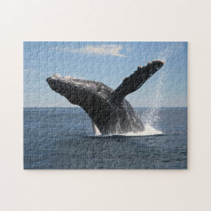 Puzzle Violation adulte de baleine de bosse