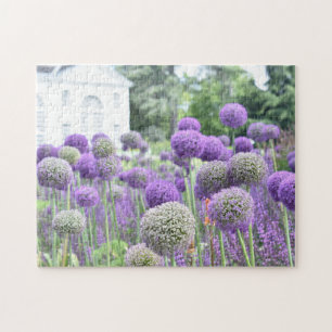 Puzzle violet Allium Garden Kew Gardens Londres Royaume-U
