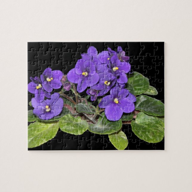 Puzzle Violette africaine (Horizontal)