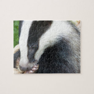 Puzzle Visage de Badger européen