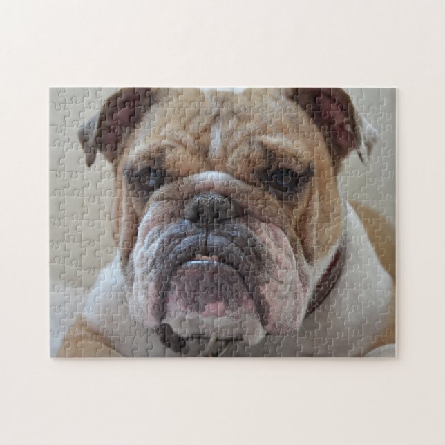 Puzzle Visage de Bulldog anglais (Horizontal)