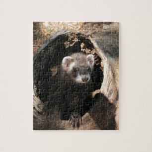 Puzzle Visage Ferret