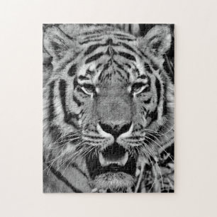 Puzzle Visage noir et blanc de tigre