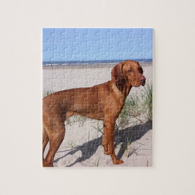 Puzzle vizsla complet (Vertical)