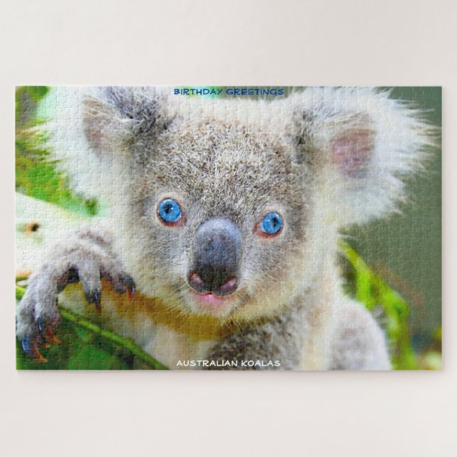 Puzzle Vœux d'anniversaire Koalas australiens (Horizontal)