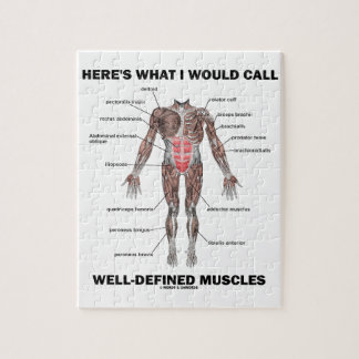 Puzzle Voici ce que j'appellerais les muscles bien