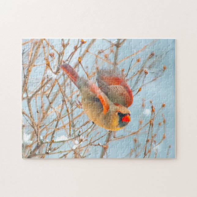 Puzzle Vol Cardinal Nord - Photo originale (Horizontal)