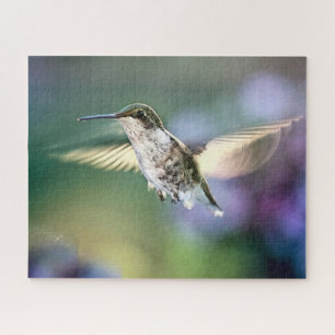 Puzzle Vol de colibri