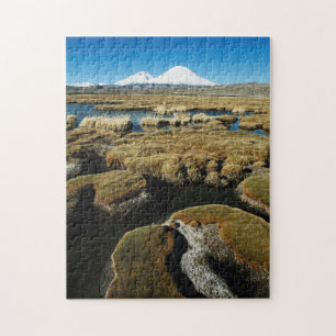 Puzzle Volcans Payachalas
