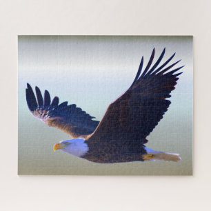 Puzzle Voler d'Eagle chauve