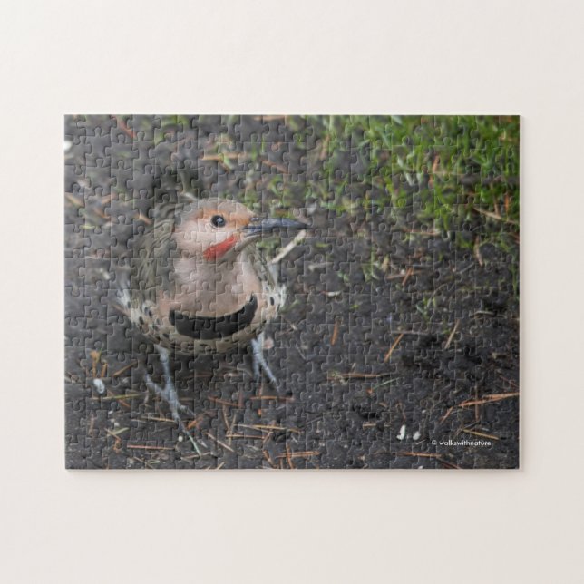 Puzzle Vue à vol d'oiseau du pic flamboyant (Horizontal)