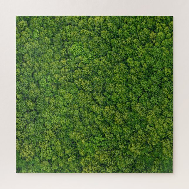 Puzzle Vue aérienne sur la forêt, vue supérieure, espace  (Vertical)