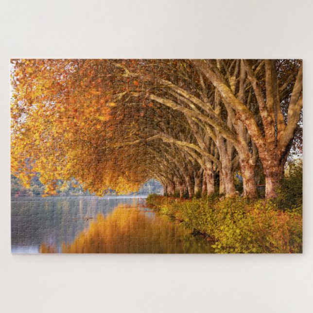 Puzzle Vue pittoresque sur les arbres dorés d'automne au  (Horizontal)