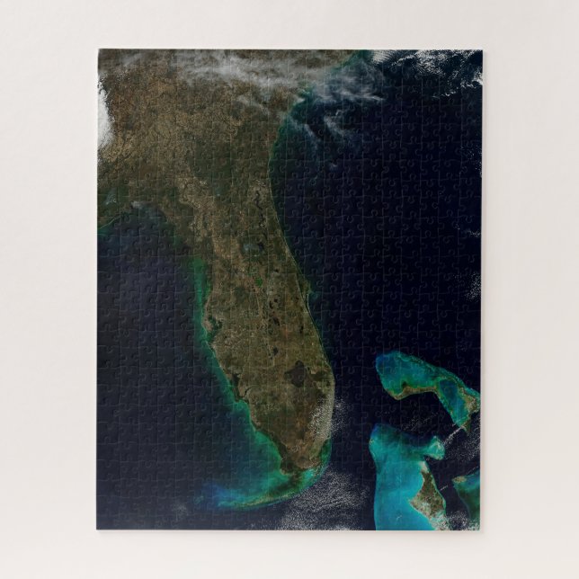Puzzle Vue Satellite Sur La Floride. (Vertical)