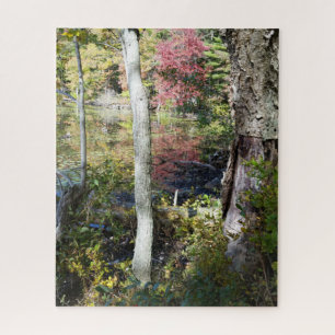 Puzzle vue sur le lac