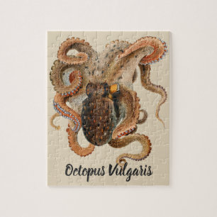 Puzzle Vulgaris Octopus vintage, Animaux de la vie marine