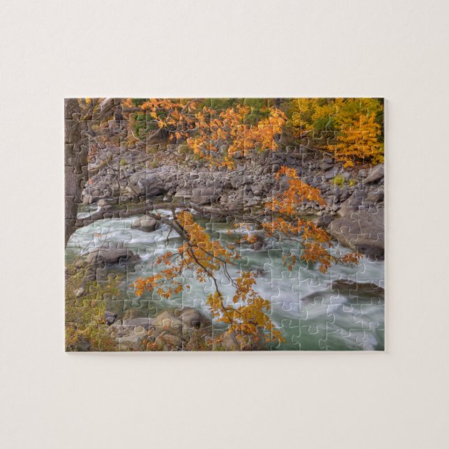 Puzzle WA, forêt nationale de Wenatchee, érable et (Horizontal)