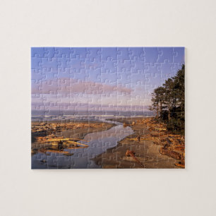 Puzzle WA, parc national olympique, plage de Kalaloch et