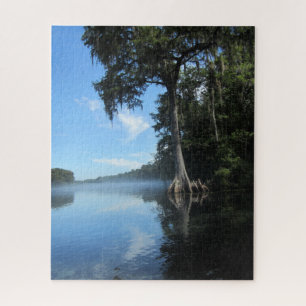 Puzzle Wacissa River Cypress Floride