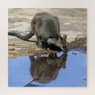 Puzzle wallaby
