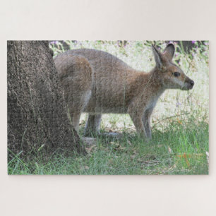 Puzzle wallaby