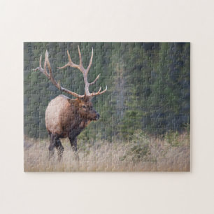 Puzzle Wapiti des montagnes Rocheuses