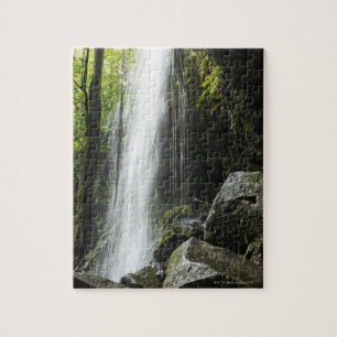 Puzzle Waterfal, dans la forêt tropicale, la Dominique,