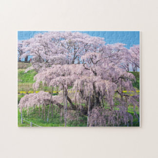 Puzzle waterfall cherry blossom tree