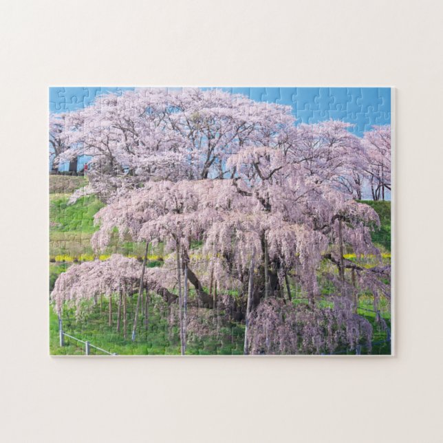Puzzle waterfall cherry blossom tree (Horizontal)