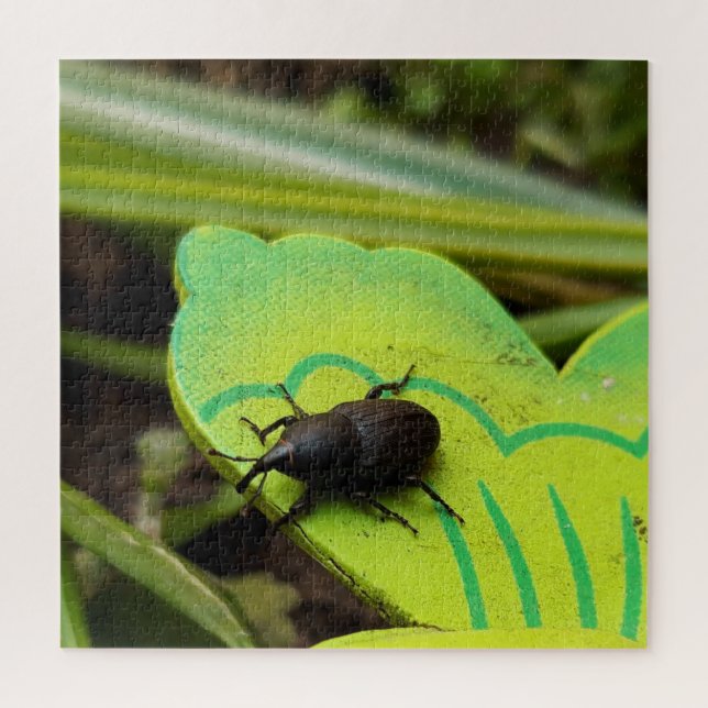Puzzle Weharm, Beetles, Curculionoidea, Bug (Vertical)