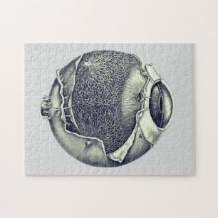 Puzzle Weird Modern Vintage Eyeball Detail Drawing Gray
