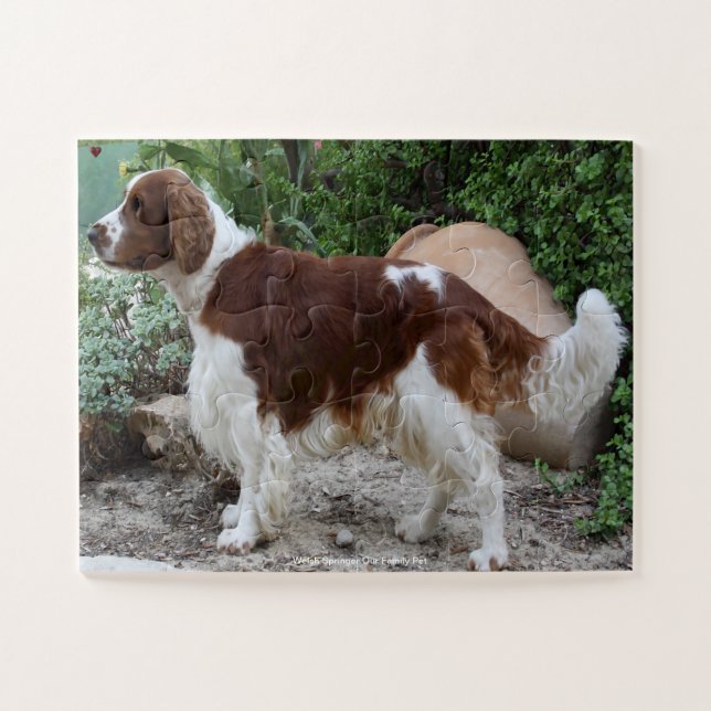 Puzzle Welsh Springer Notre Animal De Famille (Horizontal)