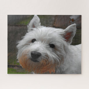 Puzzle Westie Chiens Jigsaws.