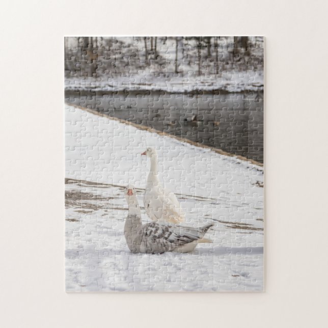 Puzzle Whats Up Goose (Vertical)
