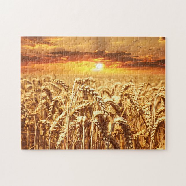 Puzzle Wheat Field Sunset (Horizontal)