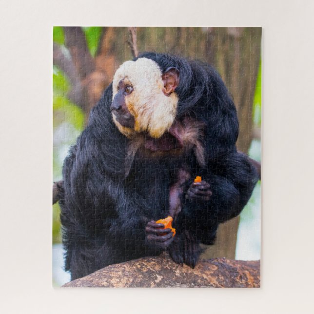 Puzzle White Face Saki Monkey. (Vertical)
