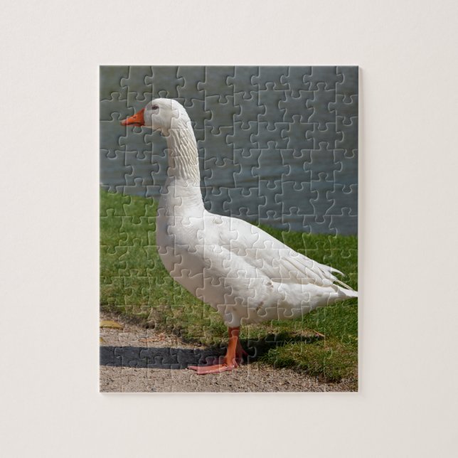 Puzzle White goose near of pond (Vertical)