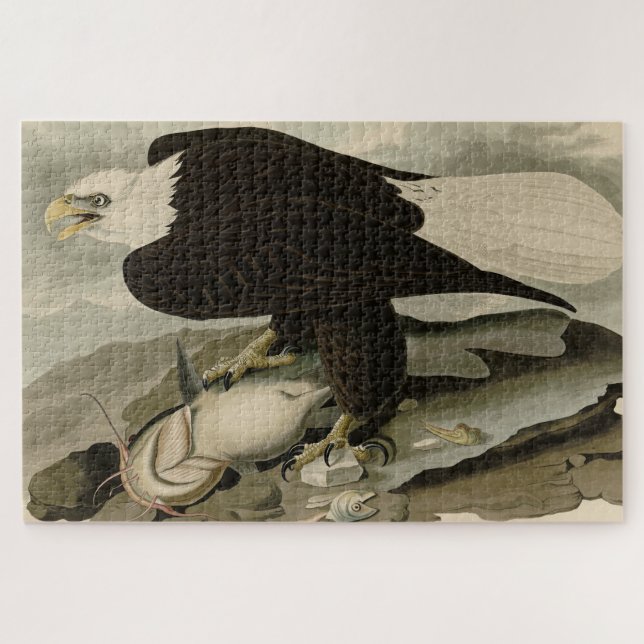 Puzzle White-headed (Bald Eagle) Audubon Birds of America (Horizontal)
